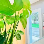 Pensionat Venice Hub