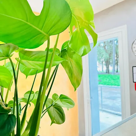 Guest house Venice Hub