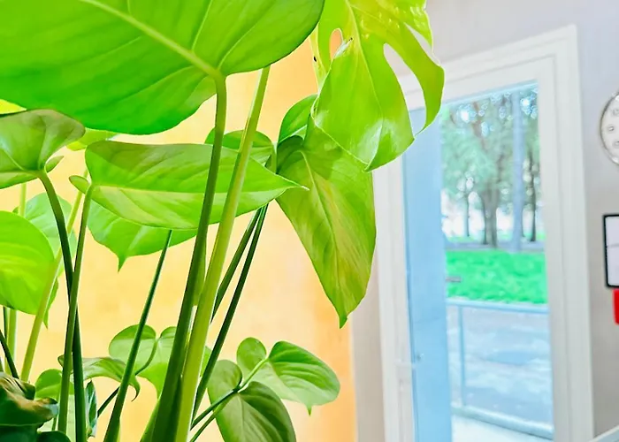 Affittacamere Venice Hub